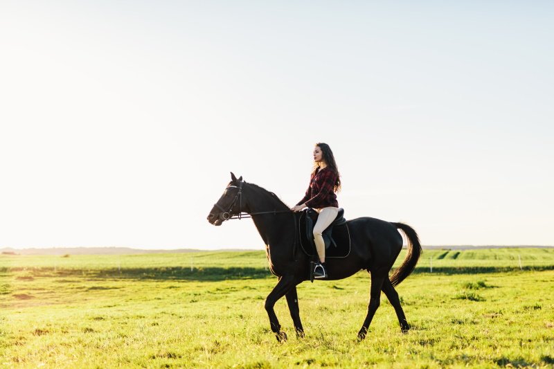 Young attractive girl riding on a bay horse in the sunset. Trotting. Summer outdoor activities.
